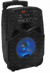 Акустика National V100