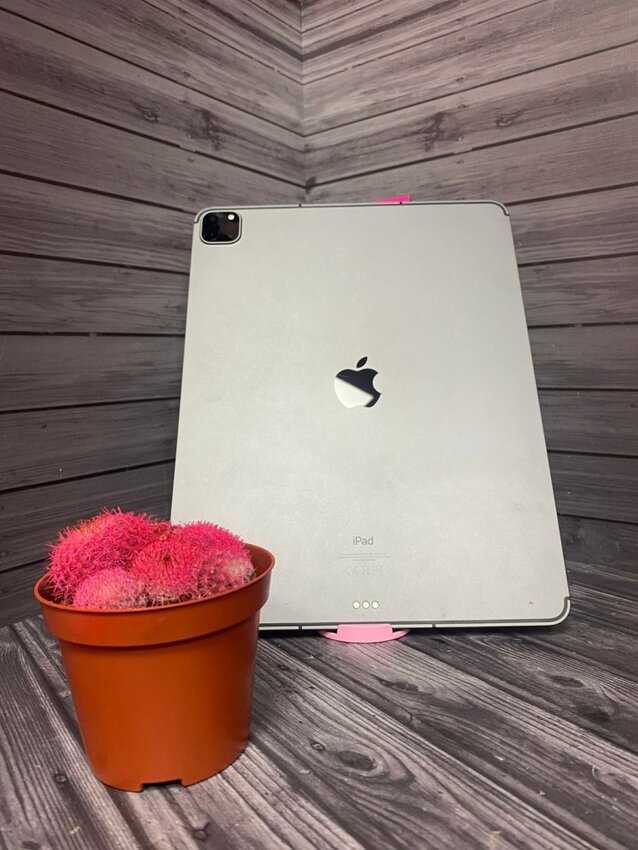 Планшет Apple iPad PRO 5 12,9* 2021 512 gb    (A2461)
