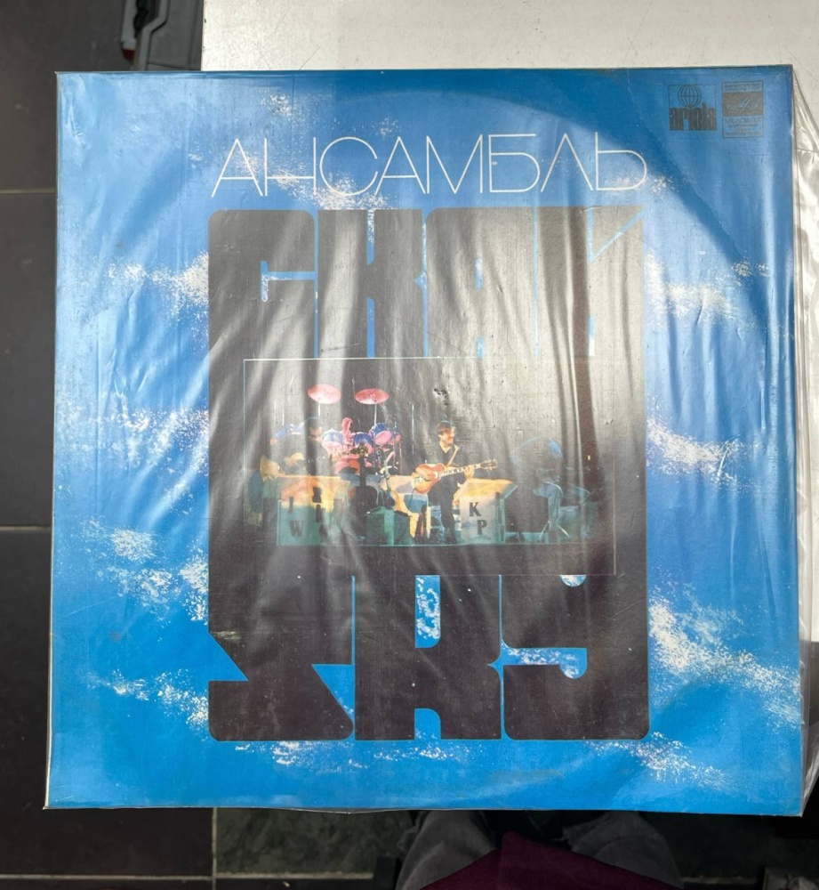 Виниловая пластинка