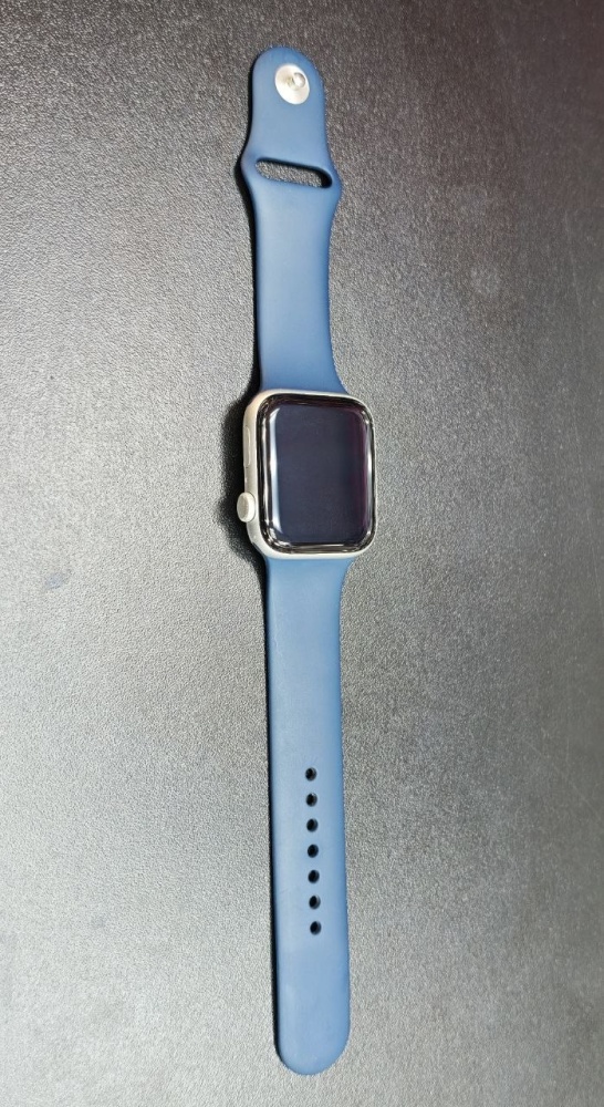 Часы Apple Watch SE 44