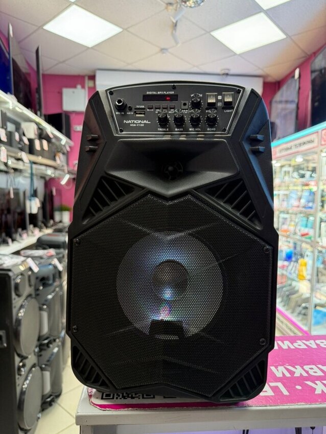 Акустика National NSM-V100